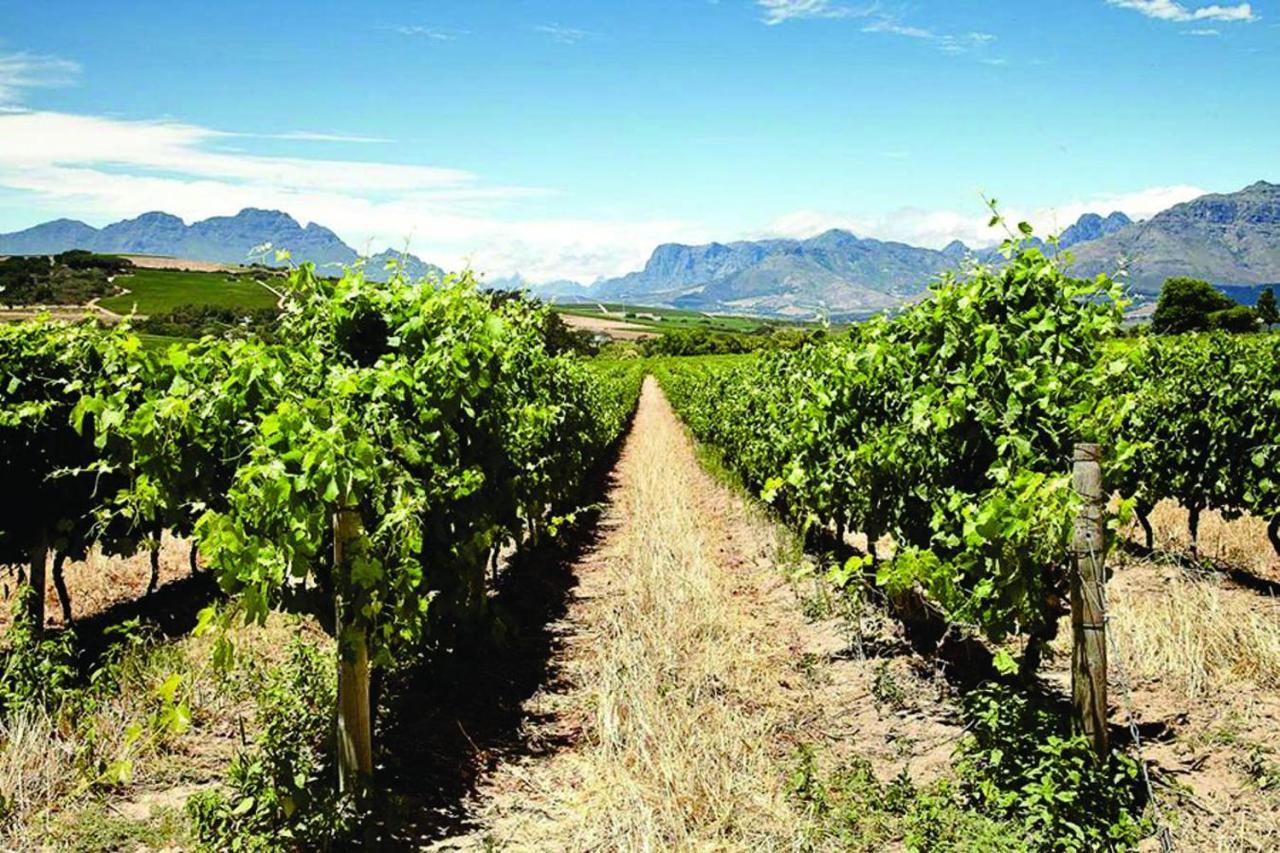 Wedgeview Country House & Spa Stellenbosch Exteriör bild