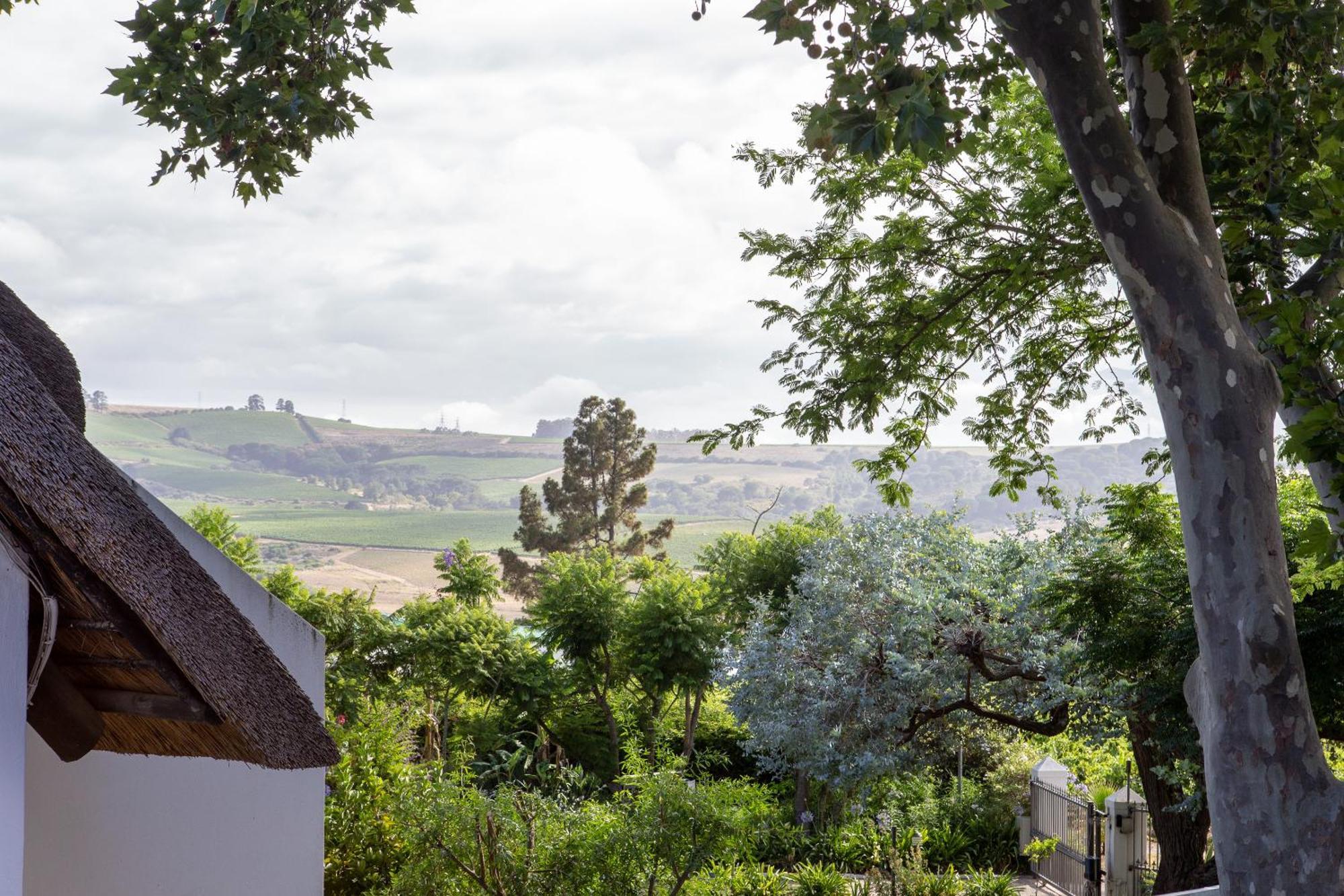 Wedgeview Country House & Spa Stellenbosch Rum bild